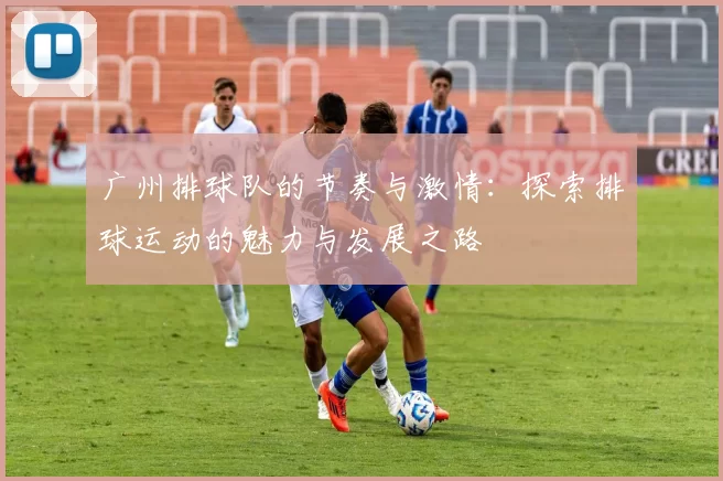 广州排球队的节奏与激情：探索排球运动的魅力与发展之路