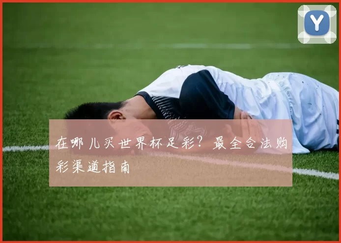 在哪儿买世界杯足彩？最全合法购彩渠道指南