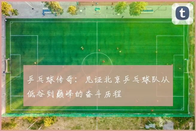 乒乓球传奇：见证北京乒乓球队从低谷到巅峰的奋斗历程