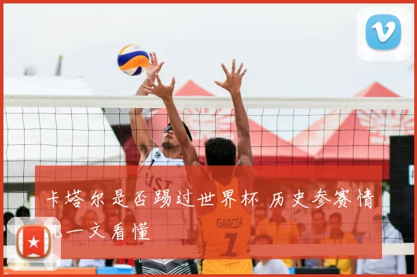 卡塔尔是否踢过世界杯 历史参赛情况一文看懂