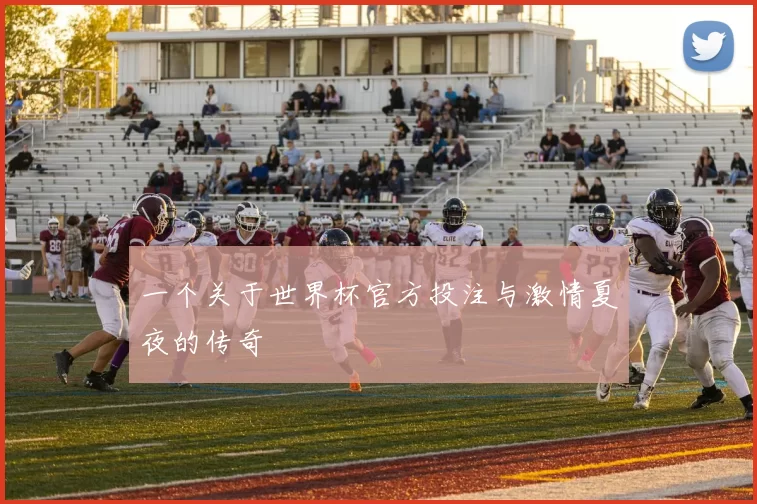 一个关于世界杯官方投注与激情夏夜的传奇