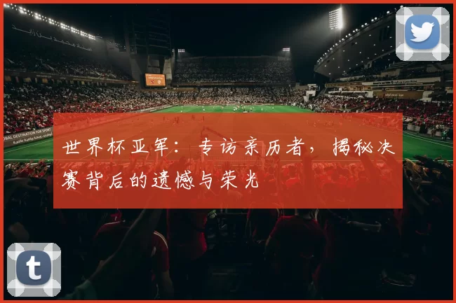 世界杯亚军:专访亲历者,揭秘决赛背后的遗憾与荣光