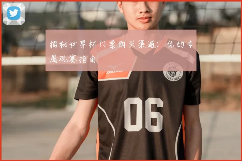 揭秘世界杯门票购买渠道:你的专属观赛指南