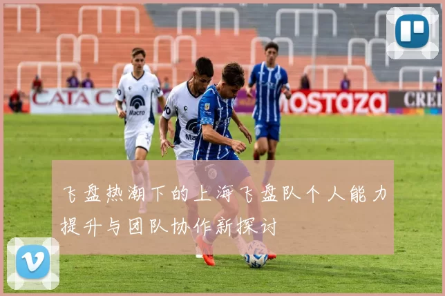 飞盘热潮下的上海飞盘队个人能力提升与团队协作新探讨