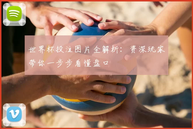 世界杯投注图片全解析：资深玩家带你一步步看懂盘口